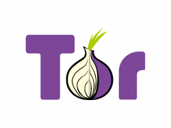 onion tor url